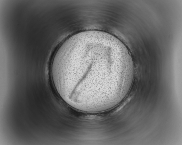 X0000096170298200802151440