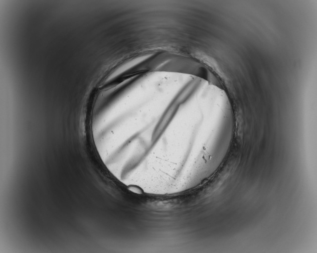 X0000096170299200802151440