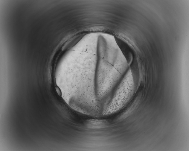 X0000096170300200802151440