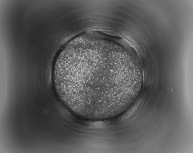 X0000096170301200802151440