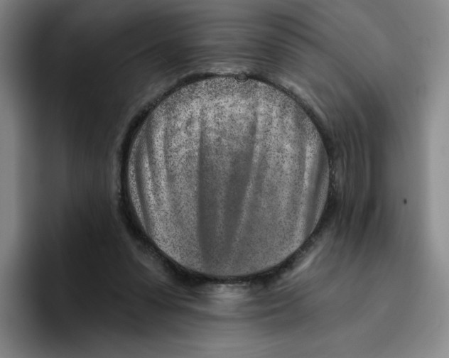 X0000096170303200802151440