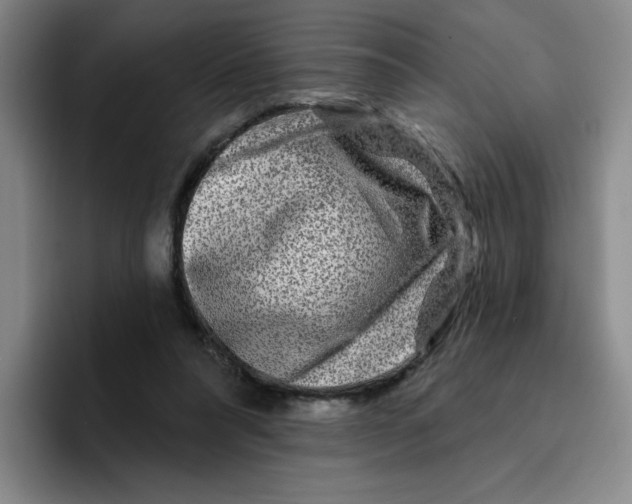 X0000096170304200802151440