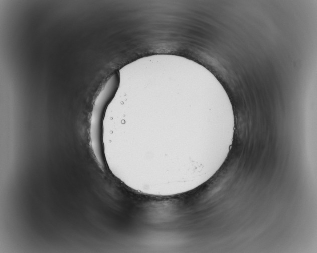X0000096170307200802151440