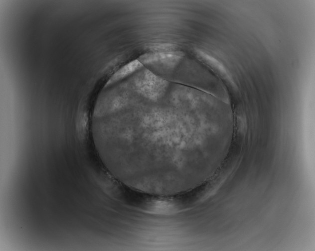 X0000096170308200802151440