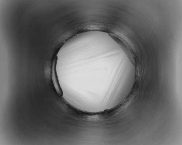 X0000096170309200802151440