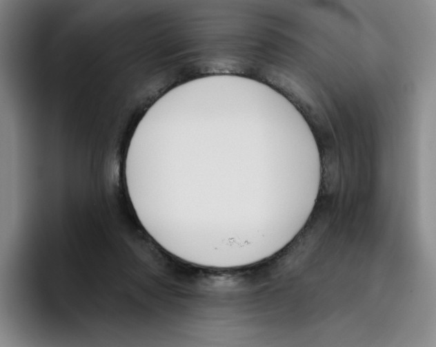 X0000096170310200802151440