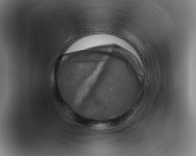 X0000096170312200802151440