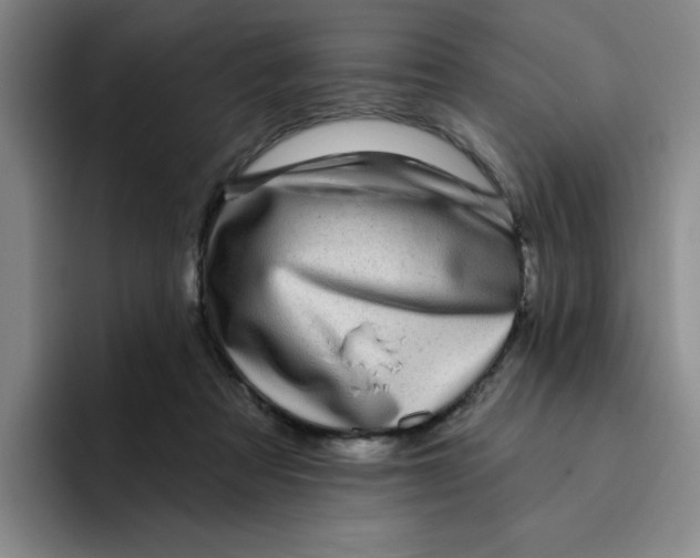 X0000096170313200802151440