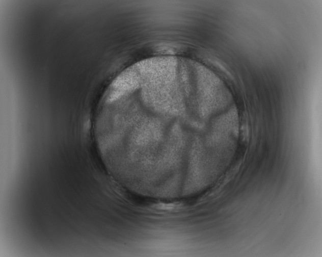 X0000096170314200802151440
