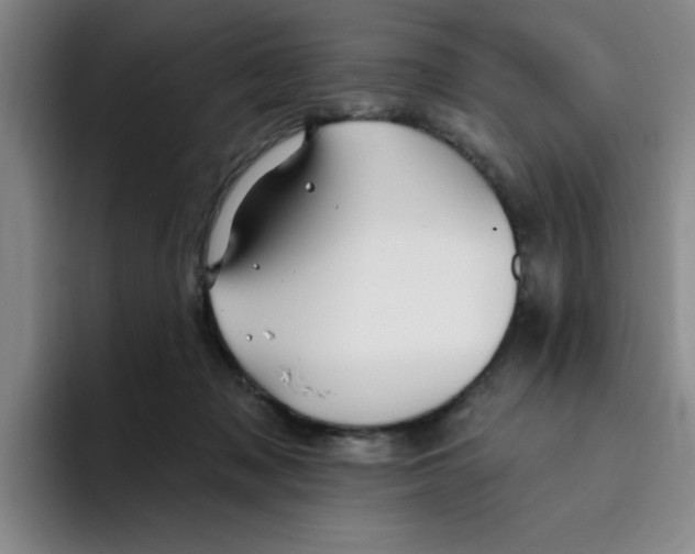 X0000096170317200802151440