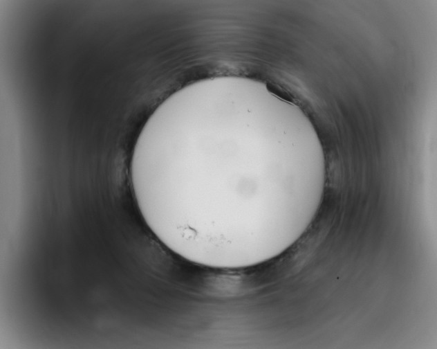 X0000096170318200802151440