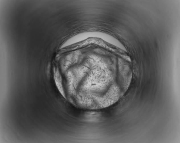 X0000096170319200802151440