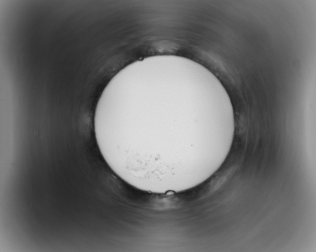 X0000096170321200802151440