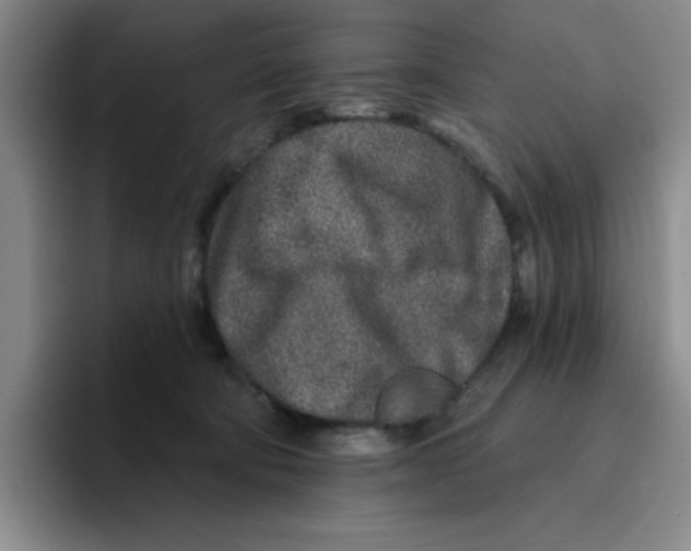X0000096170322200802151440