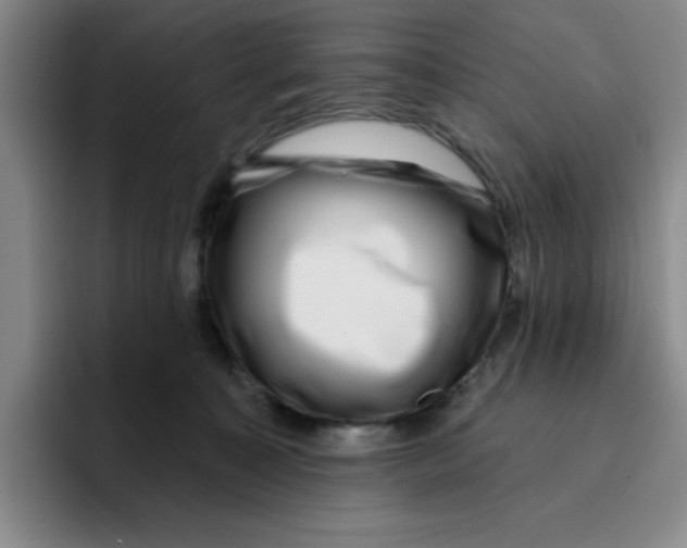X0000096170323200802151440