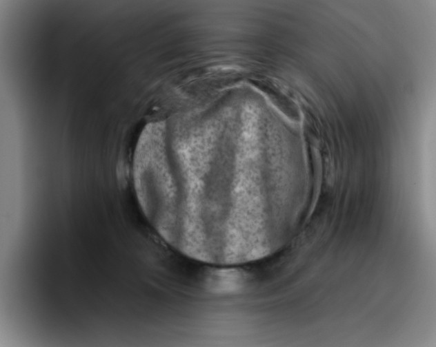 X0000096170324200802151440