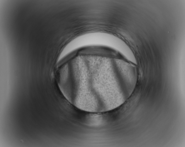 X0000096170325200802151440