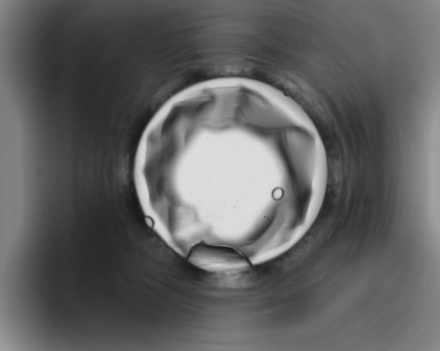 X0000096170326200802151440