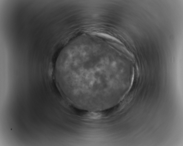 X0000096170328200802151440