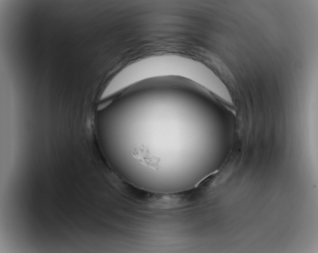 X0000096170329200802151440