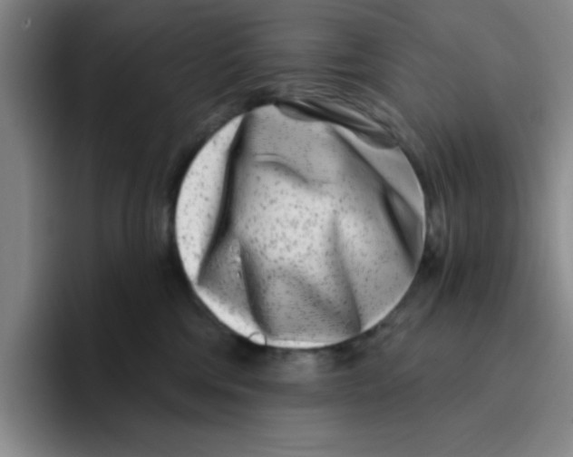X0000096170330200802151440