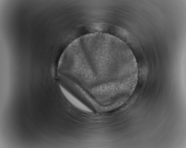 X0000096170331200802151440