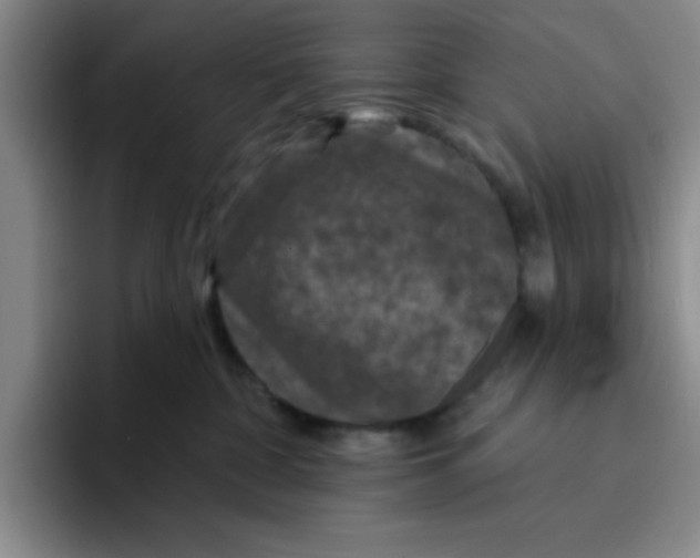 X0000096170332200802151440