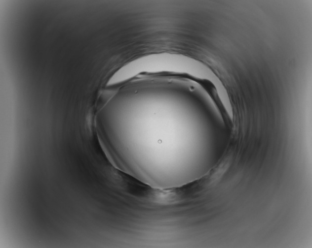 X0000096170333200802151440