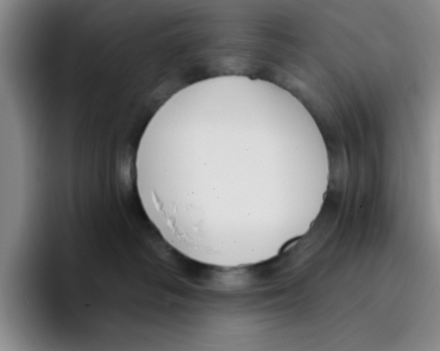 X0000096170334200802151440
