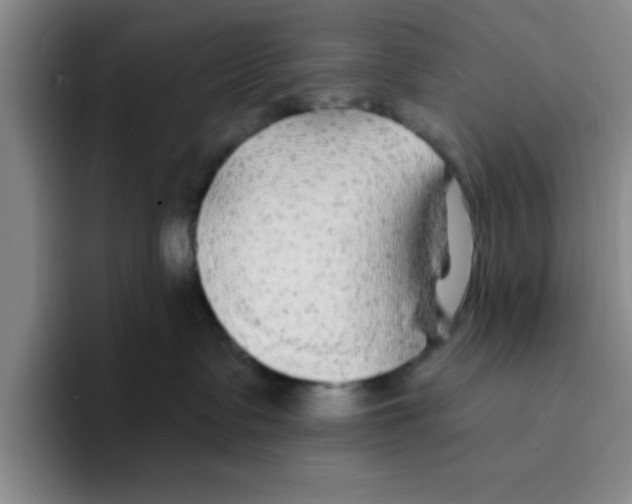 X0000096170335200802151440