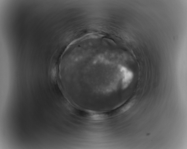 X0000096170336200802151440