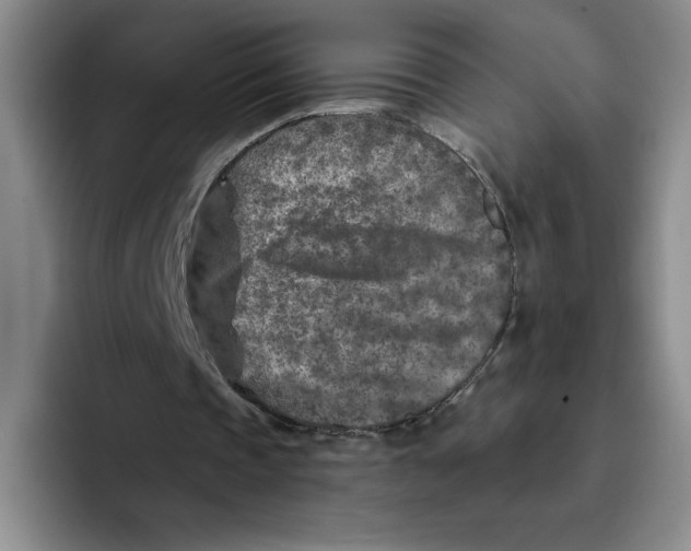X0000096170337200802151439
