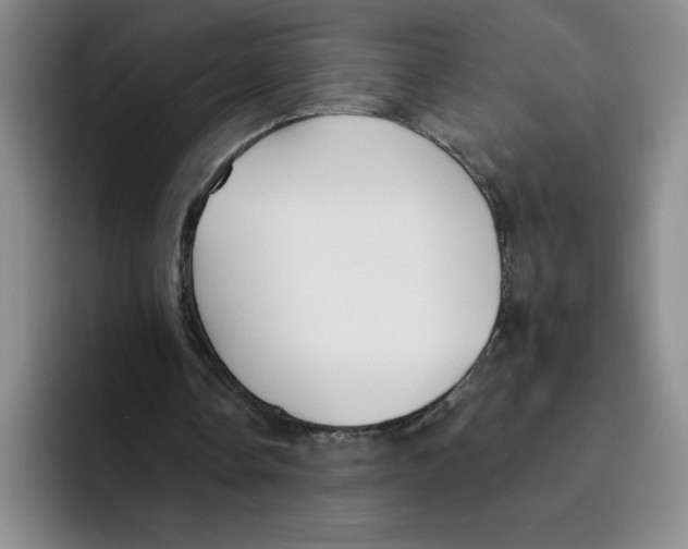 X0000096170338200802151439