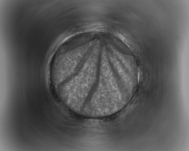 X0000096170339200802151439