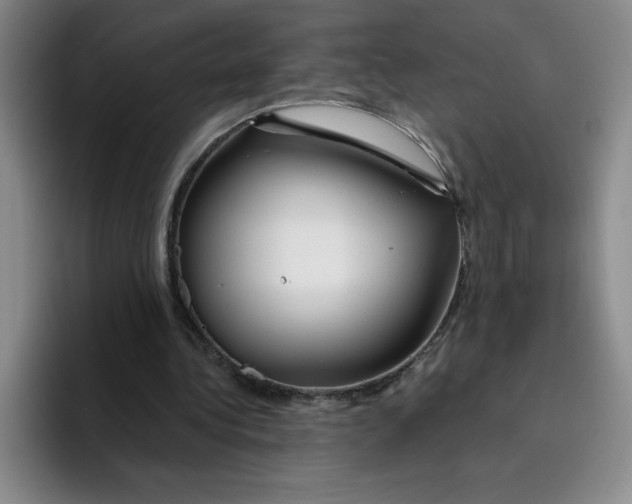 X0000096170340200802151439