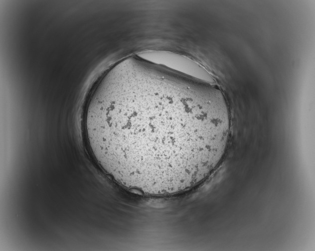 X0000096170341200802151439