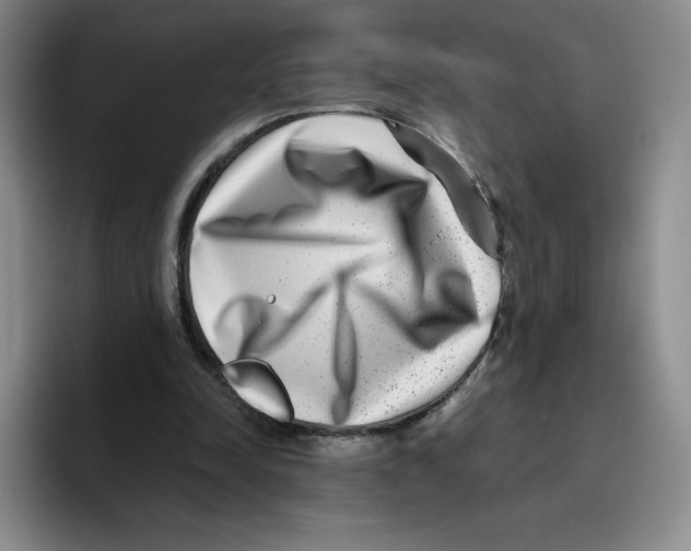 X0000096170342200802151439
