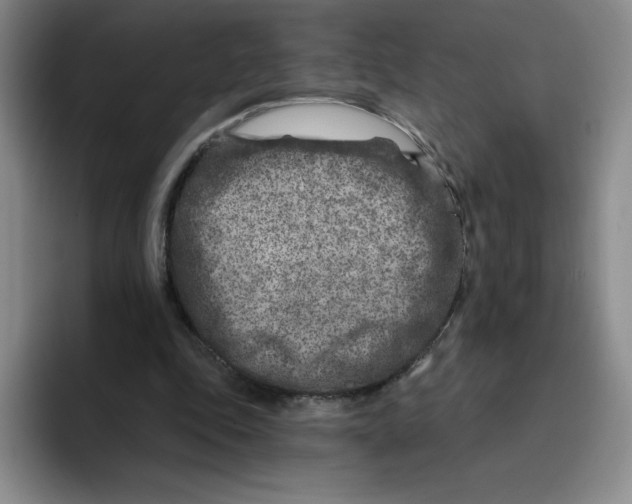 X0000096170343200802151439