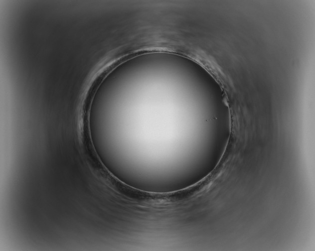 X0000096170344200802151439