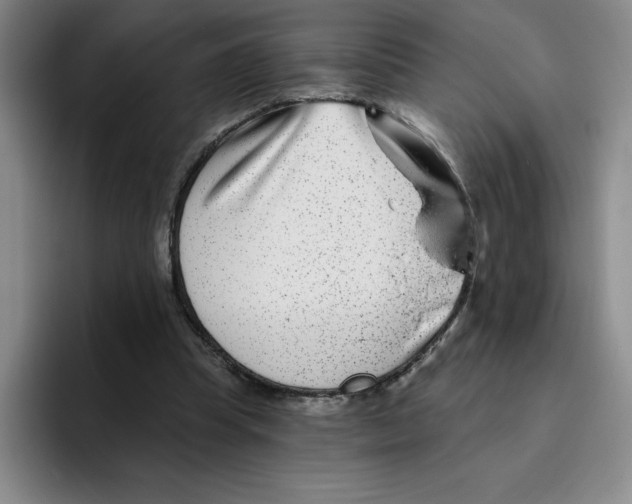 X0000096170345200802151439