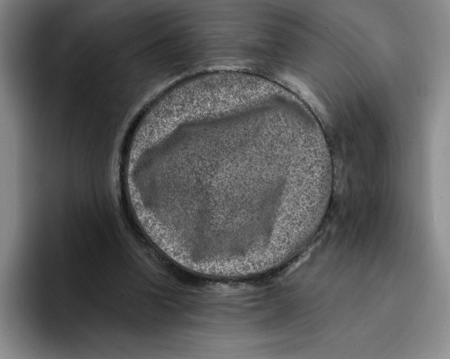 X0000096170346200802151439