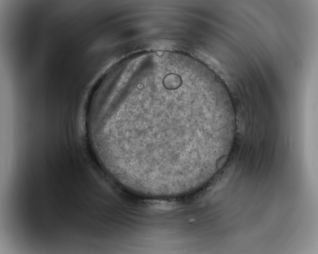 X0000096170347200802151439