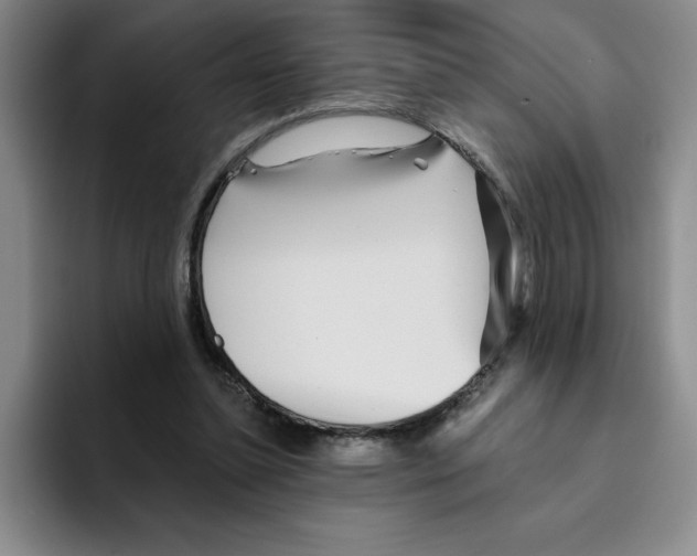 X0000096170348200802151439