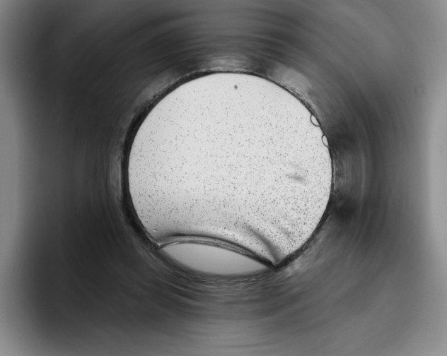 X0000096170349200802151439