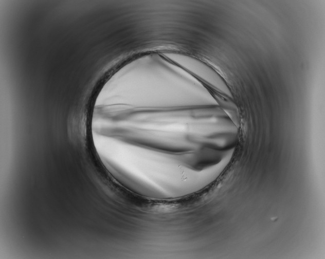 X0000096170350200802151439
