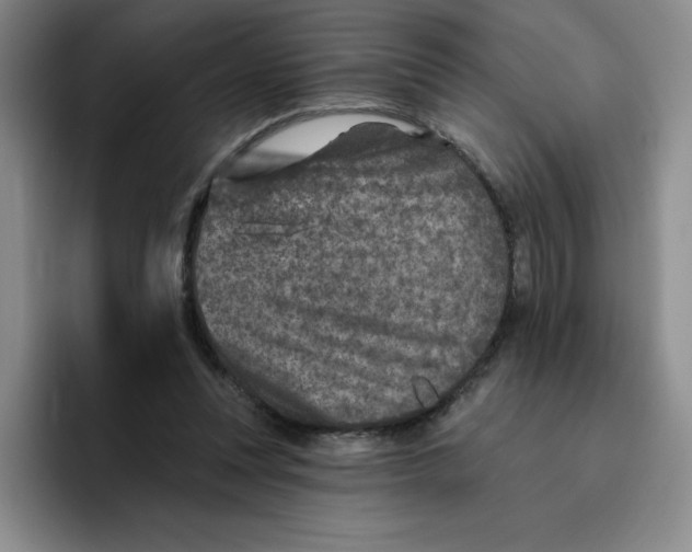 X0000096170351200802151439