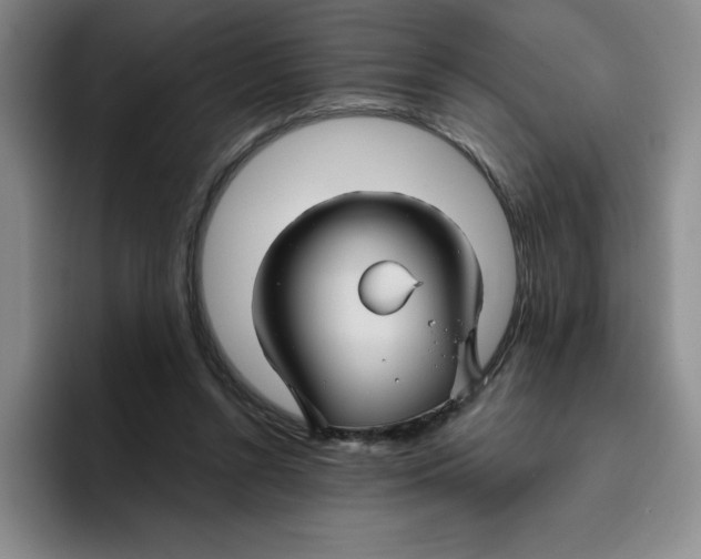 X0000096170352200802151439