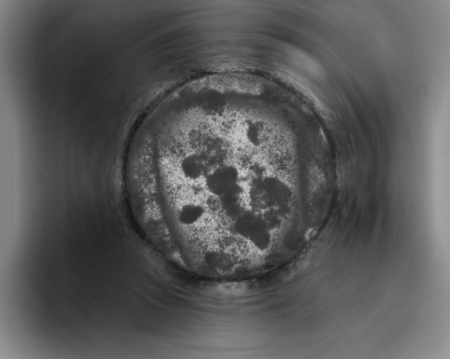 X0000096170353200802151439