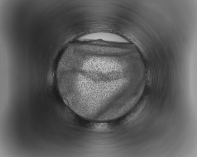 X0000096170355200802151439