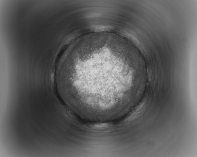 X0000096170357200802151439